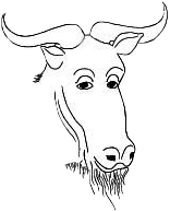 Barthfashion - Gnu